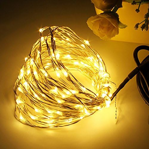 LGXANTT Fairy String Lights, Fairy Lights Battery, Fairy Lights Copper, Led String Lights, 20 Warm White Micro Led String Lights on 7.5 Ft Silver Wire