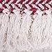 DII Modern Farmhouse Cotton Herringbone Blanket Throw with Fringe for Chair, Couch, Picnic, Camping, Beach, & Everyday Use, 50 x 60 - Barn Red