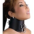 Strict Leather Locking Posture Collar, Medium