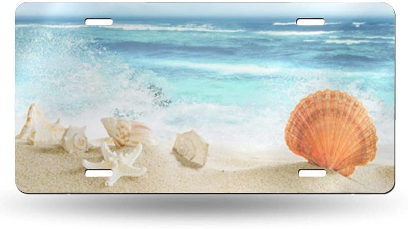 Amazon.com: others Cool Metal License Plate,Blue Azure ...