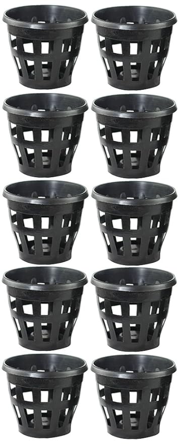 Orchid-Tree Plastic Hydroponic Plant Pot, 5 Dia, Set Of 10