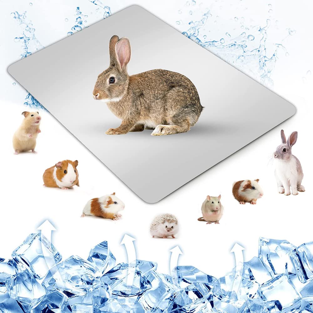 Namvo Summer Cool Plate Cooling Pad Hamster Mat Ice Bed for Small Pet Rabbit Totoro Guinea Pig 30 * 20cm/ 11.8 * 7.8inch