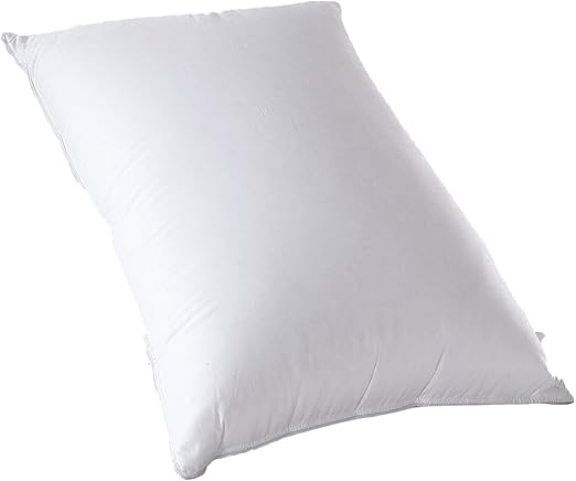 Amazon Com Down Pillows King Size 750 Fill Power White Down