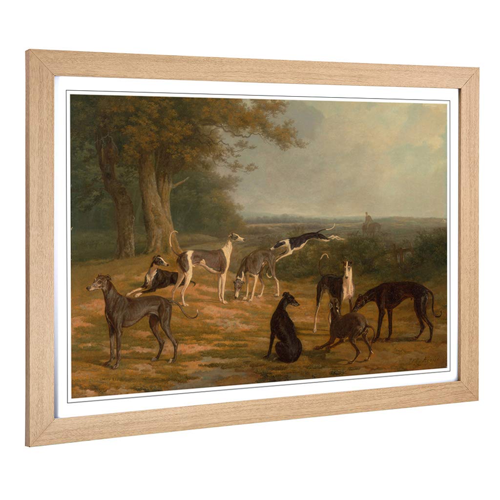 Big Box Art Framed Print of Jacques-Laurent Agasse Greyhounds Design | Wall Art Picture | Home Decor for Kitchen, Living Room, Bedroom, Hallway, Oak, A2 / 24.5x18 Inch / 62x45cm