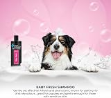 GROOM PROFESSIONAL Baby Fresh Dog Shampoo Aloe Vera 4L Soothing Mild view 2
