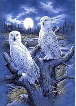 Sunnay 5D Diamant Painting Full Groß, Weiße Eule Schneeflocke