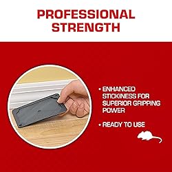Tomcat Glue Traps Mouse Size with Eugenol for