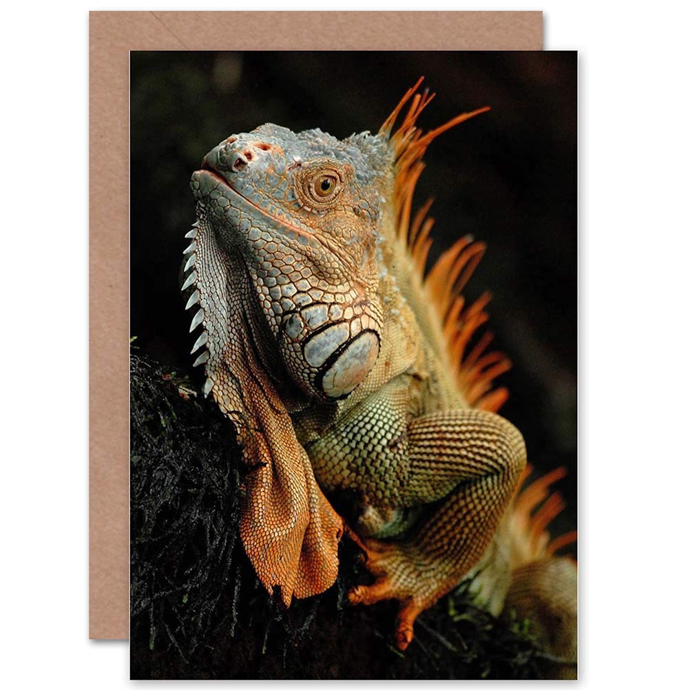 Wee Blue Coo ANIMAL IGUANA LIZARD REPTILE SCALES SPINES BLANK GREETINGS CARD