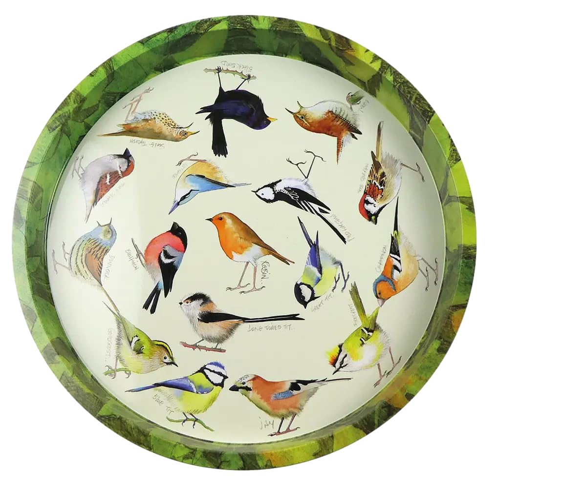 Colourful Round Tin Tea/Drinks Tray - British GARDEN BIRDS Design - 32 cm
