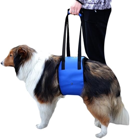 Dog Lift Support Harness with handle for canine aid