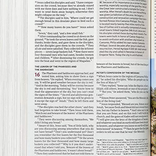CSB Holy Land Illustrated Bible, Hardcover, Black Letter, Full-Color Design, Articles, Photos, Illustrations, Easy-to-Read Bible Serif Type CSB Holy Land Illustrated Bible, Hardcover, Black Letter, Full-Color Design, Articles, Photos, Illustrations, Easy-to-Read Bible Serif Type Hardcover
