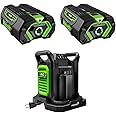 EGO Power+ 2 Pack of BA2800T 5.0 Ah Battery with Upgraded Fuel Gauge (3rd Generation) & CH2800D 56-Volt 280W Dual Port Charger