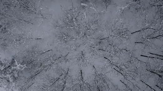 active extreme 2.0 windstopper boxer