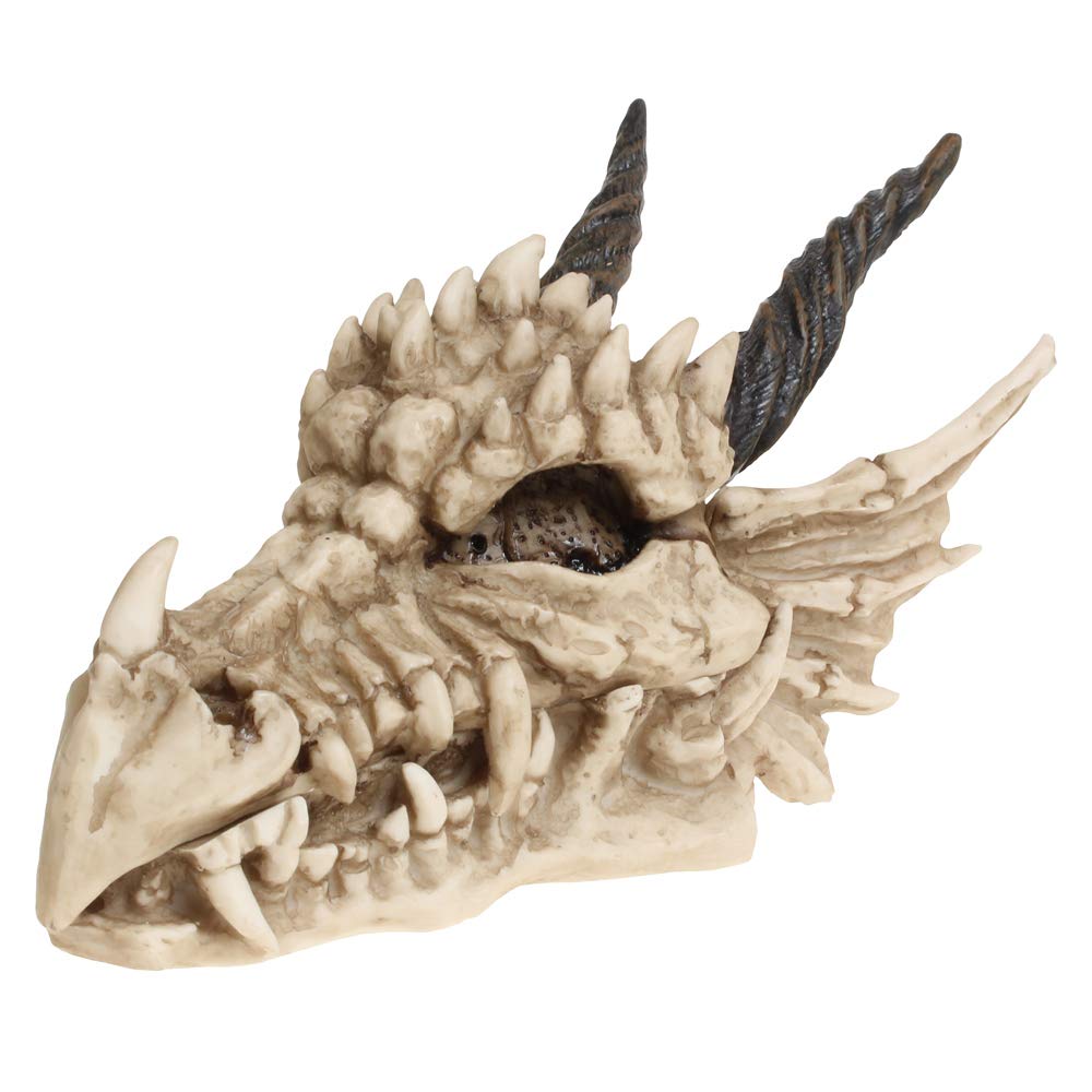 Nemesis Now AL50057 Dragon Skull Box 15cm Ivory