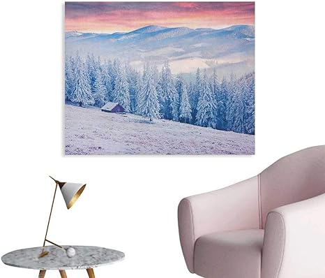 Amazon Anzhutwelve 冬用 ペイントポスト 抽象オーナメント 雪の結晶 寒い季節 凍った水辺のイラスト クールなポスター スカイブルー ホワイト W32 Xl24 アートフレーム ポスター オンライン通販