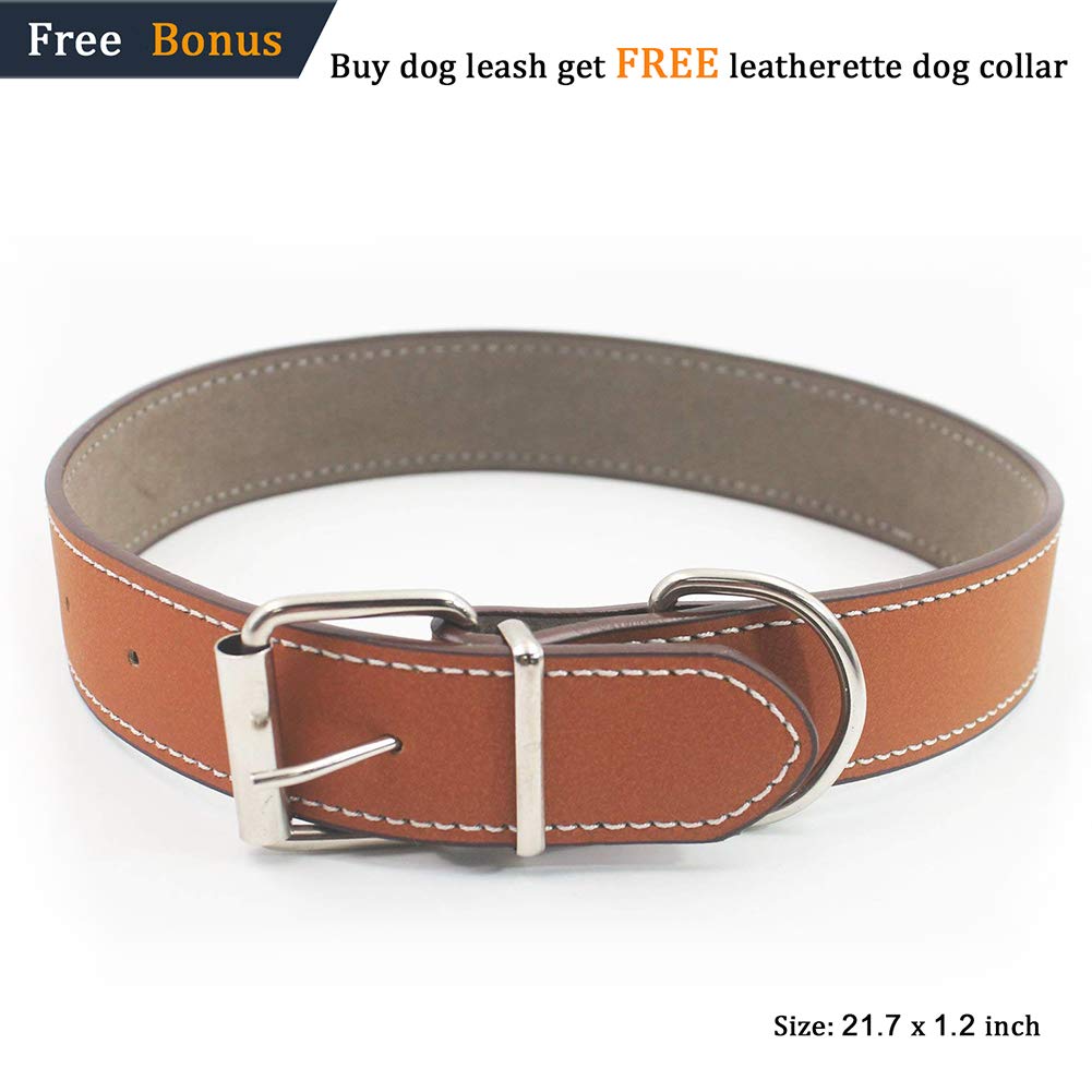 Dog Leash,Sturdy Nylon Dog Leash with Comfortable Padded Handle Reflective Leash for Night Safety.4/6ft Long - Perfect Leashes For for Small Medium Large Dogs (6 feet, Light Blue)