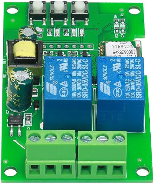 Leepesx eWeLink Smart WiFi Switch Mdulo Universal 2CH AC85 250V Switch Wireless Timer Phone App Control Remoto Compatible con Amazon Alexa Google Home Control de Voz para Smart Home