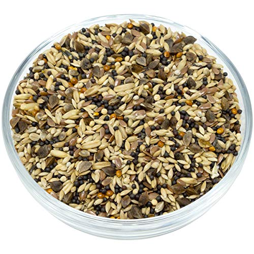 Leimüller Vogelfutter Wildvögel Ganzjährig 25Kg (Waldvogelfutter) - Premium Wildvogelfutter mit extra Sämereien â feines Ganzjahresfutter - Streufutter für Waldvögel 25kg Staubfrei – Bild 3