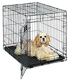 Medium Dog Crate | MidWest Life Stages 30" Folding Metal Dog Crate | Divider Panel, Floor Protecting Feet, Plastic Tray | 30L x 21W x 24H Inches, Medium Dog Breed