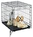Medium Dog Crate | MidWest Life Stages 30" Folding Metal Dog Crate | Divider Panel, Floor Protecting Feet, Plastic Tray | 30L x 21W x 24H Inches, Medium Dog Breed primary
