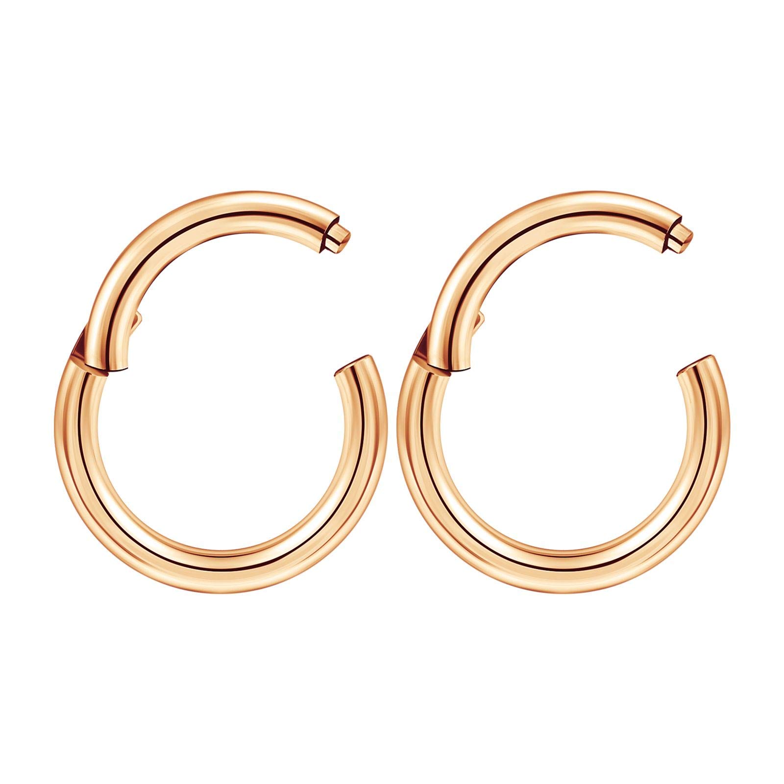 2pcs Stainless Steel Rose PVD Plated Hinged Segment Ring Nose Septum 14 Gauge 5/16 8mm Earrings Helix Piercing Jewellery 3460