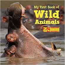 Amazon Com My First Book Of Wild Animals National Wildlife Federation 9781623540296 National Wildlife Federation Books