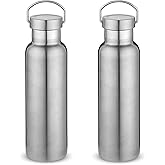 Neihepal 20 oz Insulated Water Bottles Bulk 2 Pack,Stainless Steel Double Wall Sport Bottle with Lid of Handle,Metal Reusable Thermoses Flask with Cup Cap for School,Cyclists,Gift (Silver,Set of 2)