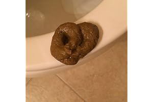 Htppzjr Fake Poopy Toy, Sproof Brown Realistic Fake Poop, Novelty Floating Fake Poop Toys for April Fools' Day Prank, Perfect Gag Gift, Prank Gift