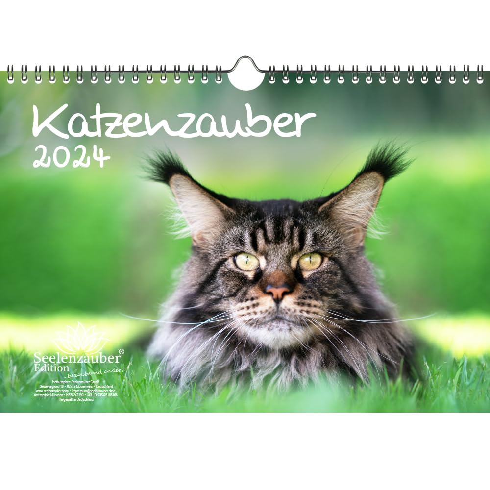 Katzenzauber DIN A4 Calendar for 2024 Cats and Cats Seelenzauber