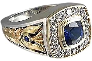 CZCLMLT Retro Fashion Business Two-Tone Men's Ring Luxury Jewelry Fashion S925 Sterling Silver Simulation Diamond Ring Gorgeous Personality Square Round Ring Wedding Engagement Diamond Ring Men CZC403 (10)