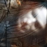 DOR                                                image