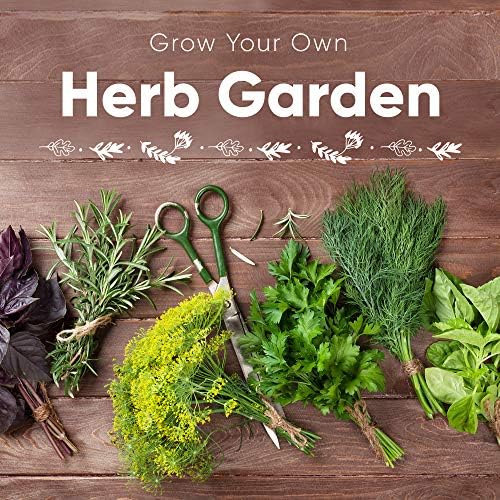 Indoor Herb Garden Seeds 9 Heirloom Medicinal Herb Seed Packets