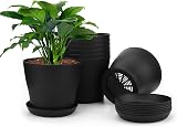 KINGLAKE 8Pcs 4 Inch Black Plastic Plant Pots with Drainage Holes and Trays