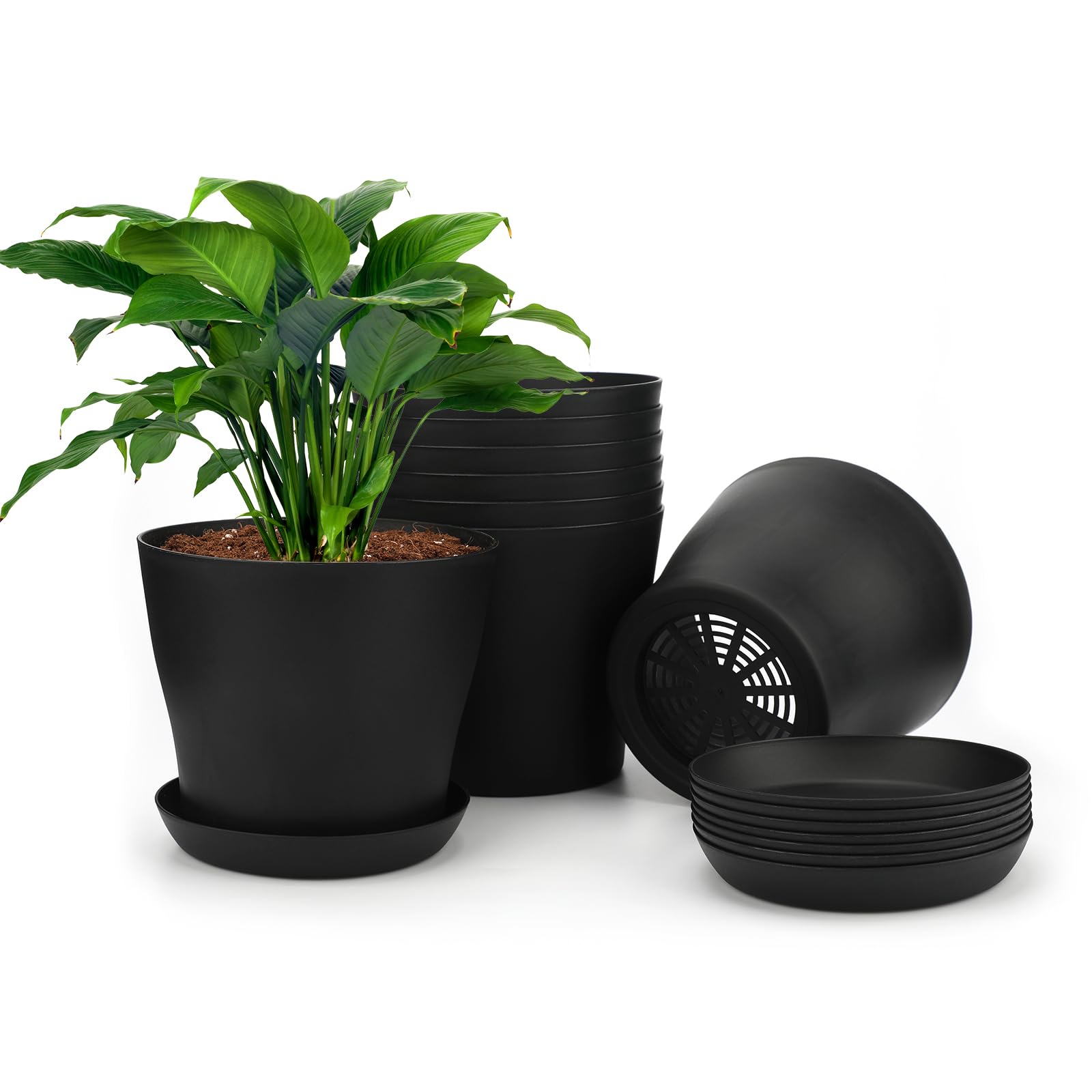 KINGLAKE 8Pcs 4" Small Black Plant Pots Plastic Flower Pots Indoor Plant Pots for Office House Desk with Trays/Pallets