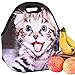 Neoprene Lunch Bag Cat by iColor, Insulated Lunchbo Thermal Lunch Tote Bag Water Resistant Lunch Box & Food Container Great for Travel, Outdoors,Work & More Food Storage Cooler