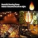 Solar Torch Lights,Solar Flame Lights Outdoor Flickering Flames Torches Lights Waterproof 96 LED Dancing Flames Landscape Decoration Lighting Solar Spotlights for Garden Yard Patio(2 Pack)1