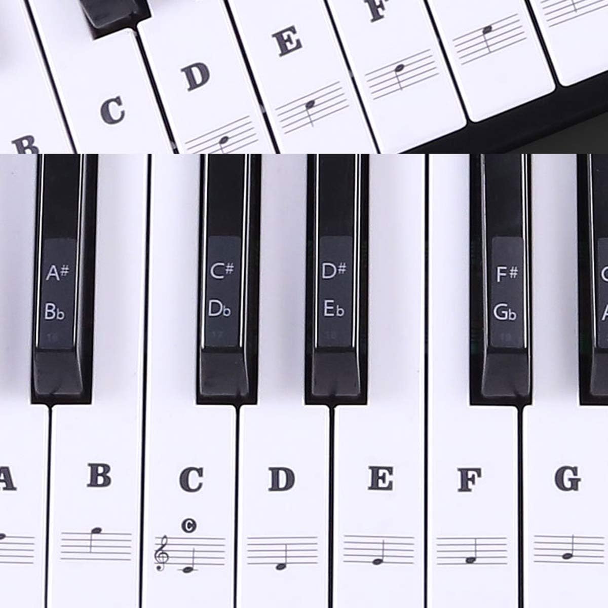 Gaosheng Piano Stickers for 49/54/61/88 Keys, Removable and Transparent, Double Layer Coating Color Keyboard Stickers for Kids and Beginners