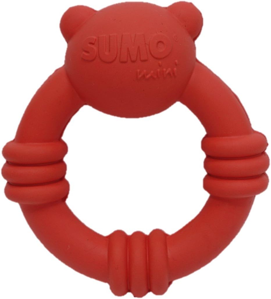 breeding f1b goldendoodle