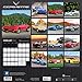 2018 Corvette Wall Calendar
