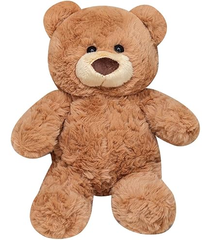 Amazon.com: Build a Bear 2011 Winter Wishes Teddy 16 inch Stuffed