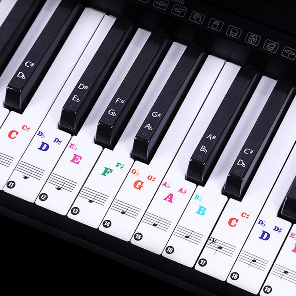 EUYuan Piano Sticker, Colorful Piano Keyboard Stickers for 88/61/49/37Key, Bigger Letter, Transparent and Removable