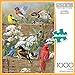 Buffalo Games - Hautman Brothers - Songbird Menagerie - 1000 Piece Jigsaw Puzzle