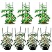 Tomato Cage 5ft 6-Pack Large Tall Tomato Cages Tomato Stakes Plants Supports Garden Stakes,40 Clips and Plant Ties Include, Green