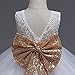JiaDuo Baby Girl Lace Mesh Tutu Dress Sequin Bow Toddler Princess Gown White 80