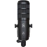 Golden Age Project D2 MKII Dynamic Cardioid Microphone