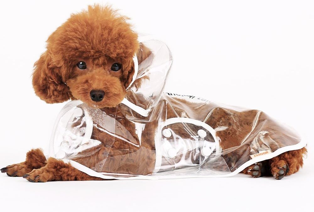Kimbar Waterproof Puppy Raincoat Transparent Pet Rainwear Clothes for Small Dogs/Cats (S)