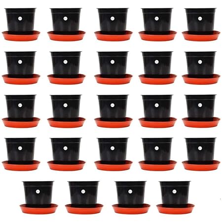 Kraft Seeds Gamla/Planter/Pot (black) with Bottom Plate/Tray (terracotta) (6 inch, 24 Pieces)