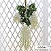 COOBL 3.6 Ft Realistic Romantic Classic Artificial Fake Wisteria Vine Ratta Silk Flowers for Garden Floral Decoration DIY Living Room Hanging Plant Vine Home Party Wedding Decor 12 Pcs(White)