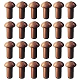 Aicosineg 20pcs 0.63" Length Copper Solid Rivets M8