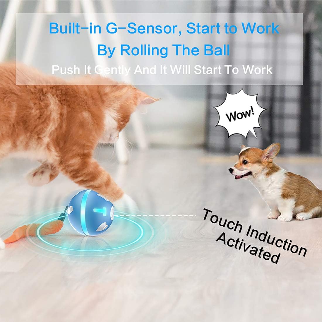 Pet Supplies : PetDroid Interactive Dog/Cats Ball Toys, Durable Motion Activated Automatic Rolling Ball Toys for Puppy/Small/Medium Dogs, USB Rechargeable (Blue)(Deep Blue) (Blue) : 